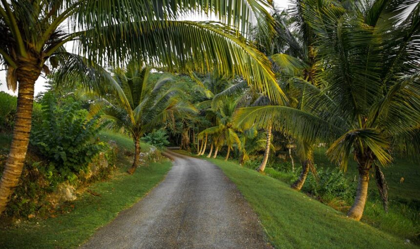 Jamaica: Onde o Ritmo da Vida Acontece