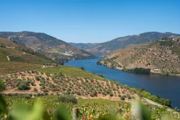 Beautiful view of the Douro River flanked vineyards in Porto, Portugal.