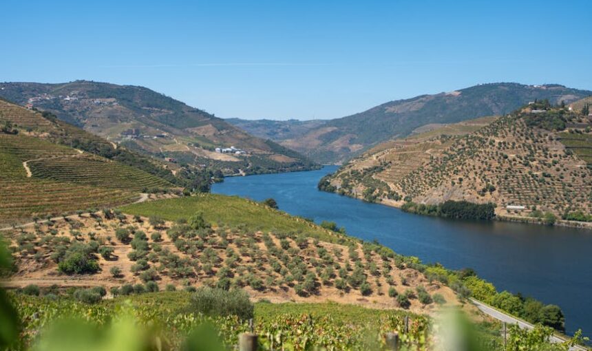 Beautiful view of the Douro River flanked  vineyards in Porto, Portugal.