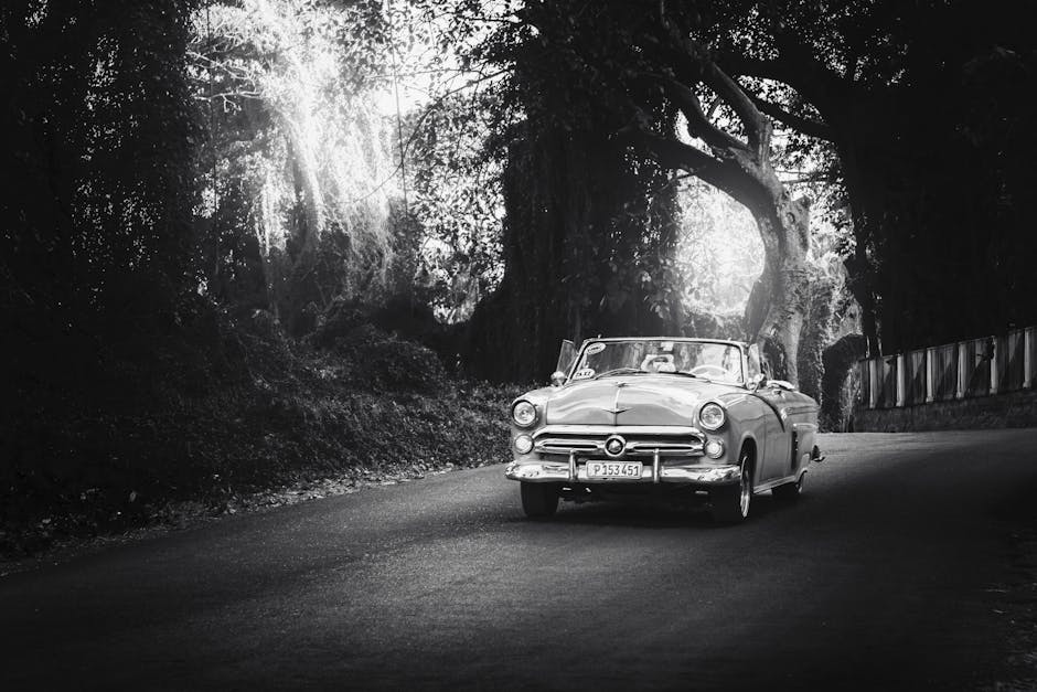 Fotografia a preto e branco de um carro descapotável antigo a circular numa estrada florestal.