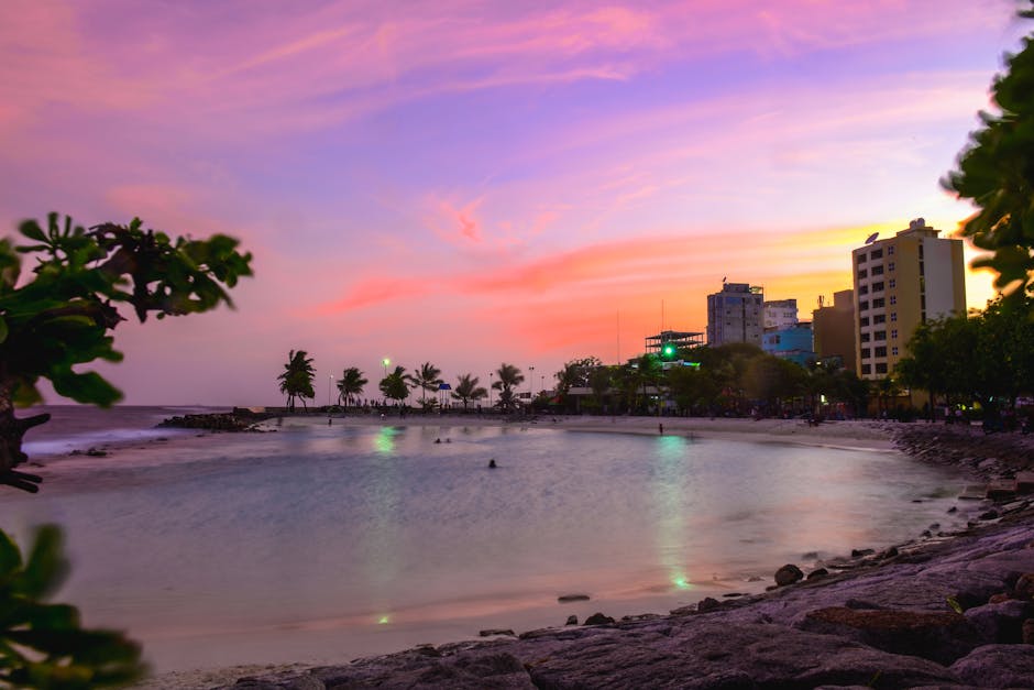 Paisagem serena de praia ao crepúsculo com céu colorido e palmeiras.
