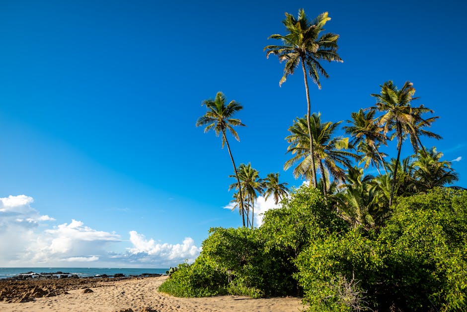 Bela praia tropical com palmeiras e céu azul límpido em João Pessoa, Brasil.