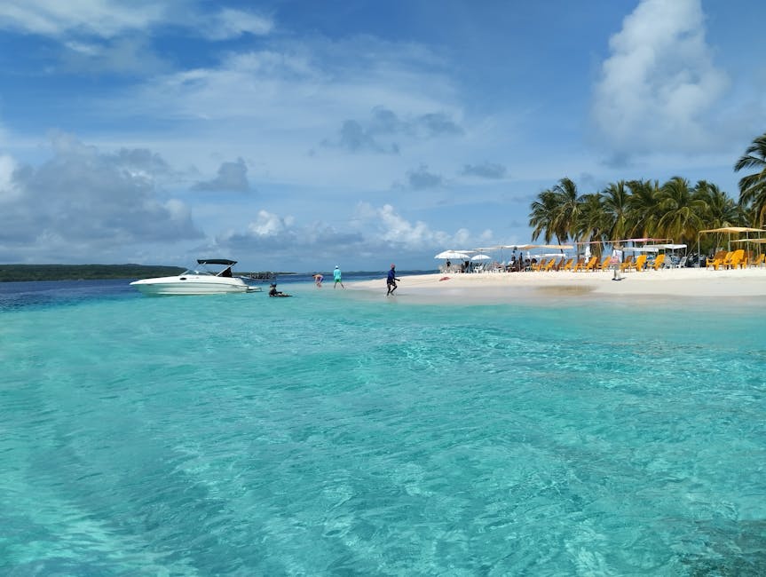 Cenário deslumbrante de praia tropical com águas azuis cristalinas e palmeiras na Venezuela.