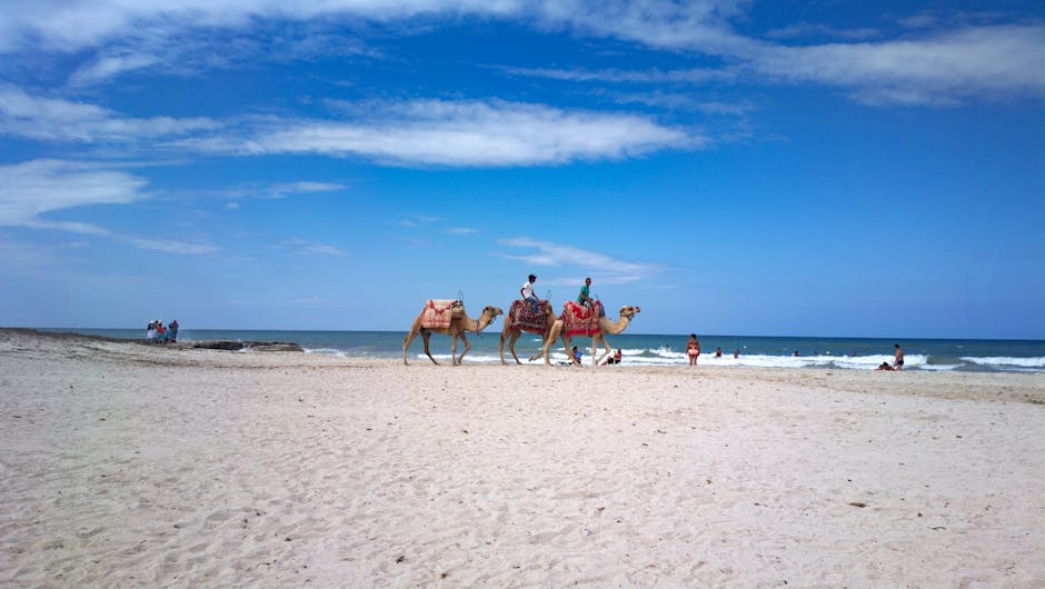 Férias em Djerba 2026: Preços, Pacotes e 7 Tesouros