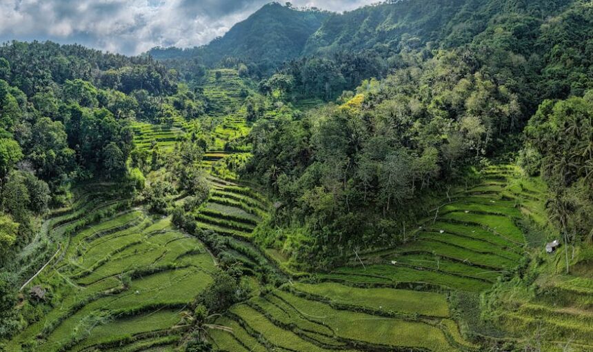 Bali Indonésia Roteiro 2026: 3 Dias Entre o Zen e o Caos