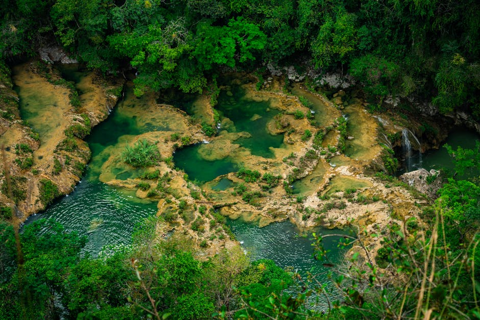 Vista aérea das piscinas naturais turquesa e da floresta luxuriante em Semuc Champey, Guatemala.