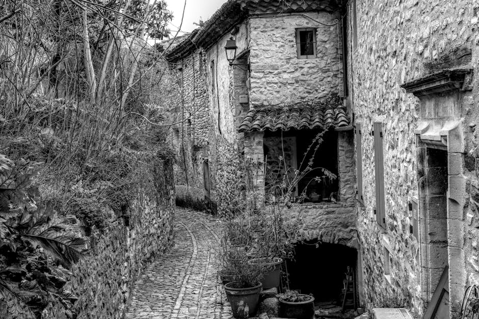 Fotografia a preto e branco de uma rua de calçada num vilarejo medieval francês com edifícios de pedra.