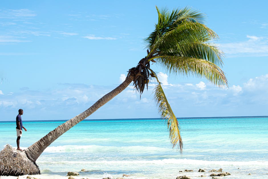 Praia tropical relaxante com palmeiras na República Dominicana.