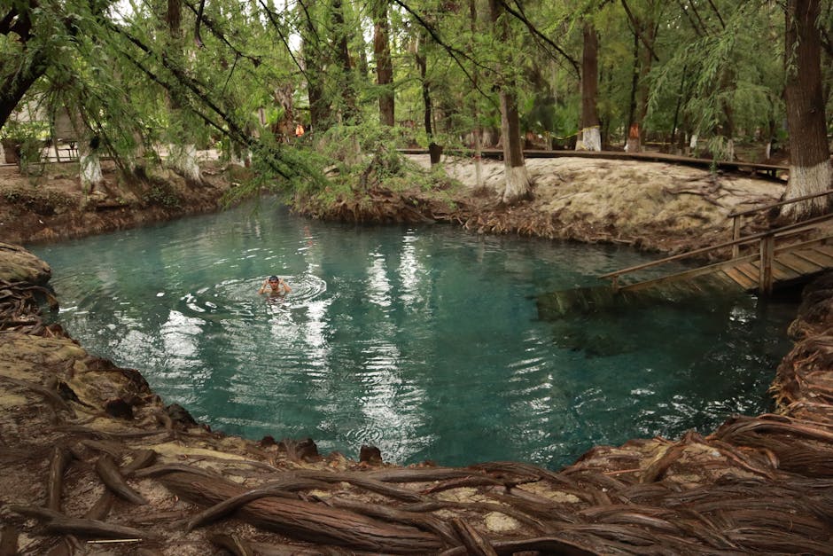 Pessoa a nadar numa piscina natural rodeada por vegetação luxuriante em San Luis Potosí, México.