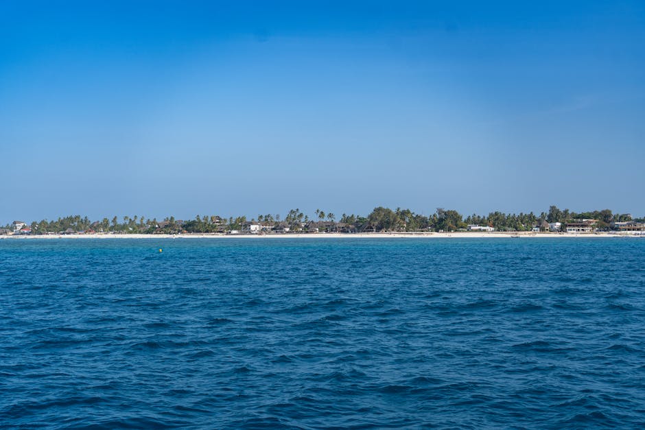 Descubra a beleza serena da costa de Zanzibar, com águas azul-turquesa imaculadas e exuberantes palmeiras.